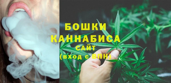 метадон Белокуриха