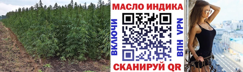 магазин  наркотиков  Павловск  ссылка на мегу ТОР  Дистиллят ТГК THC oil 